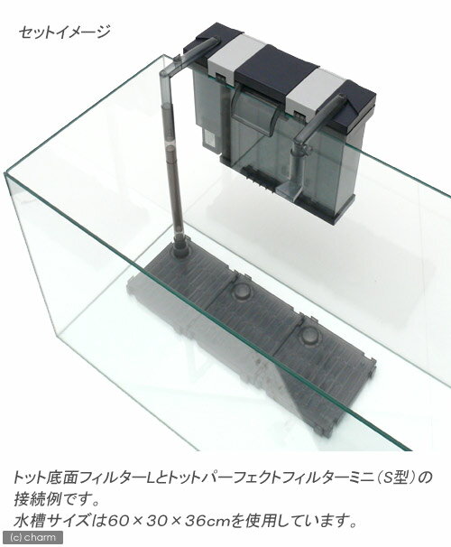 トット 底面フィルター L 45cm水槽用底面フィルター Rium