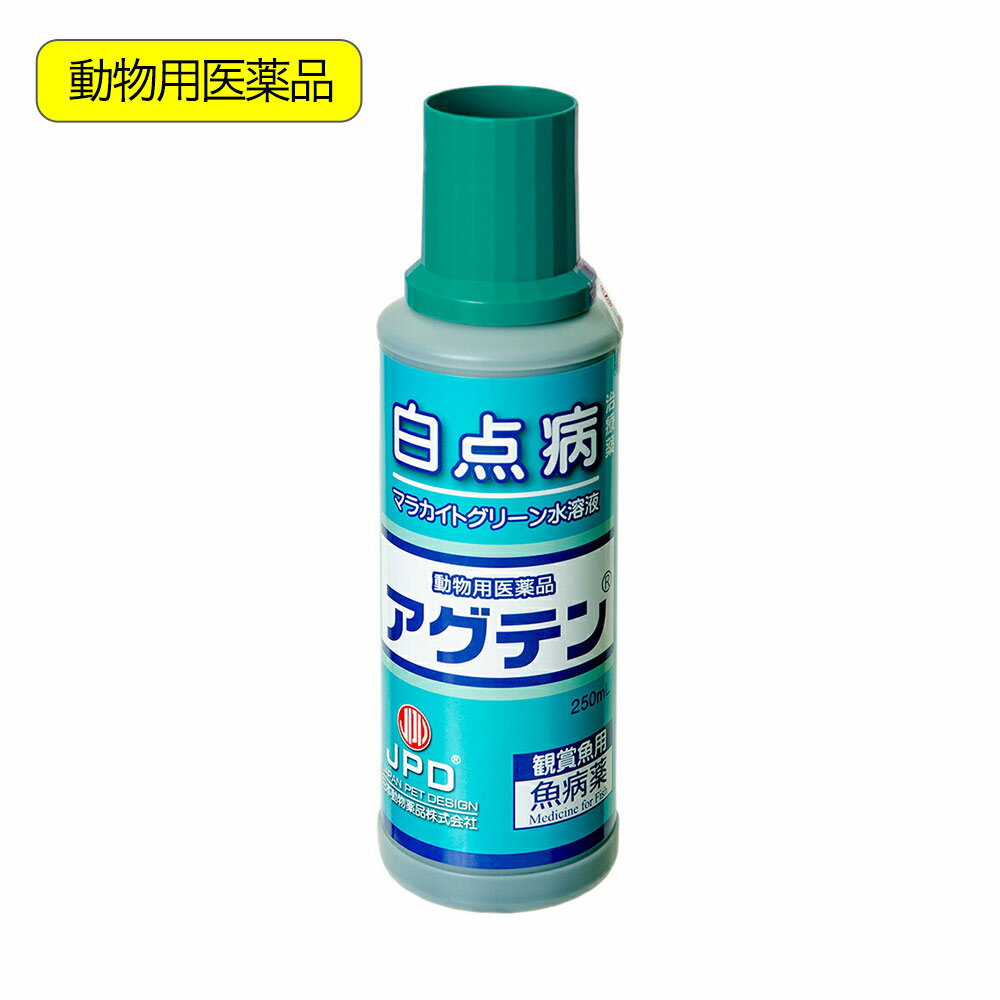 動物用医薬品　観賞魚用魚病薬　ニチドウ　アグテン　250ml　薬効2～3日間　水草可　白点病　尾ぐされ症状　水カビ病【HLS_DU】　関東当日便