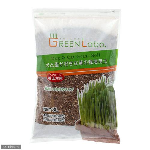 ����ǭ����������κ������ڡ�3L��3�ޡ�ǭ�𡡴���������