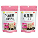 三晃商会 乳酸菌サプリ(お徳用) 100g×2 関東当日便