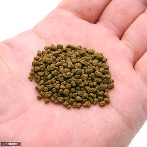 Ķ�ⵡǽ�������쾲�ࡡ�֥륫�ߥ�D��8kg��3�ޥ��åȡ���������ǥ���������Ǯ�ӵ������ʡ������롡����������