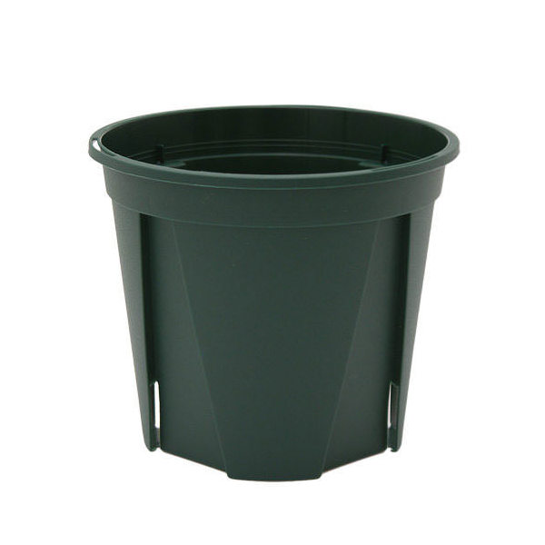 乐天商城 - スリット鉢　EUPOT　10cm　モスグリーン　30個入り　関東当日便
