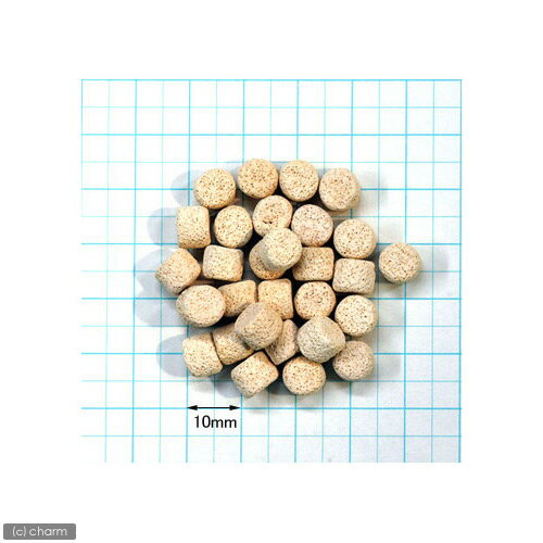 �ѥ�ϥ������ϡ��ɥ����ס�S��������ø�塦����ξ�ѡ�5��åȥ롡����������