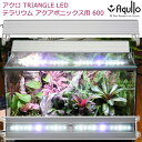 アクロ TRIANGLE テラリウム・アクアポニックス・陸上植物用 600 2650lm 植物育成ライト LED 関東当日便