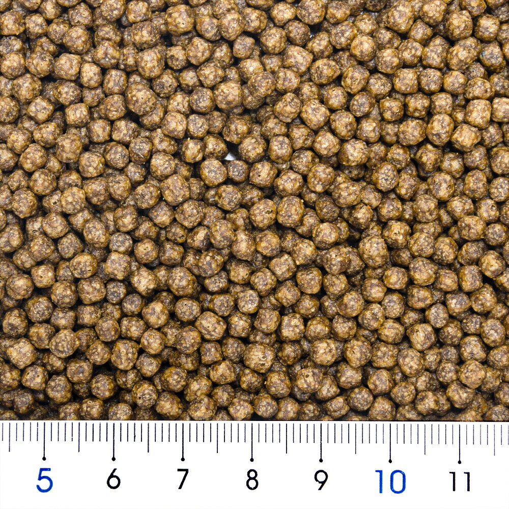 キョーリン　きんぎょのえさ　5つの力　色あげ　中粒　200g　コケ・汚れ軽減　善玉...