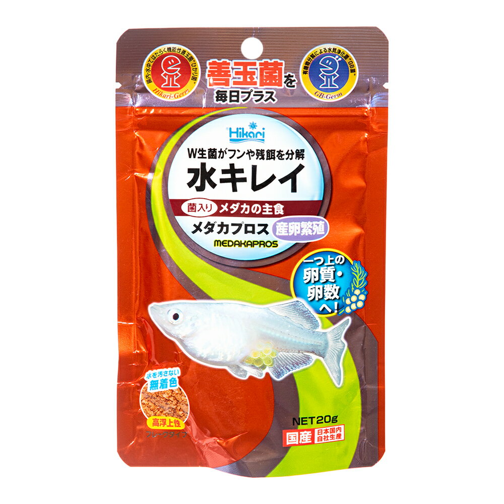 ���硼��󡡥�����ץ����������˿���20g��������α¡��ϥ������꡼�۹硡���̶��۹硡�������������������50���¤ꡡ����������