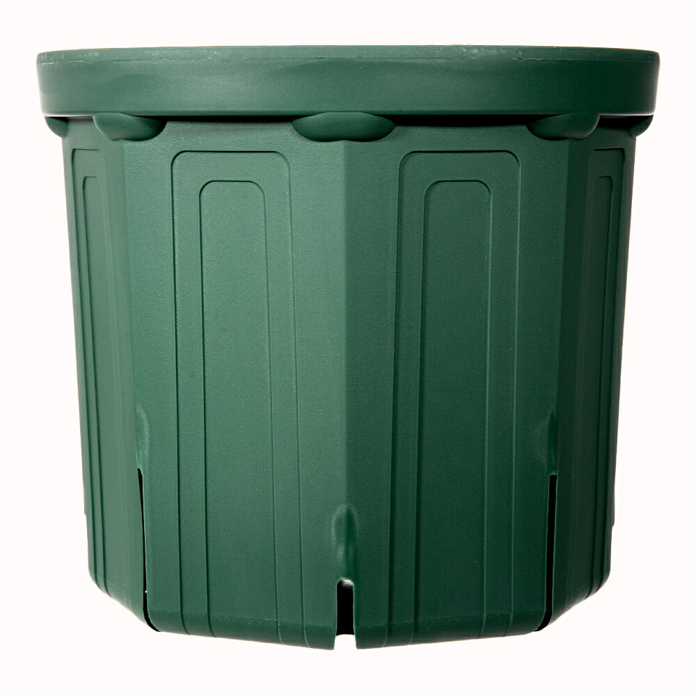 ����å�ȭ�����ͥ仺�ȡ�CSM��300���⥹���꡼�󡡤������10���¤ꡡ�Х�ȭ���̼�ȭ������������