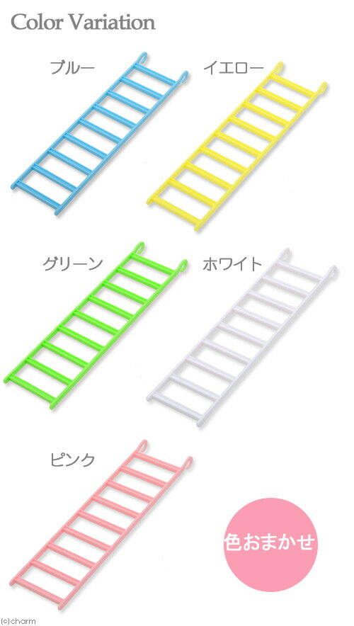 ���Х䥷���ϥ�����K��40�������ޤ���������������