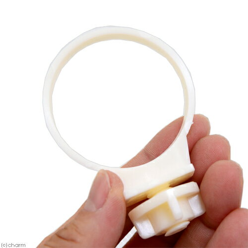 ���Х䥷�����祳�ݤ����ץ顡K��58������������