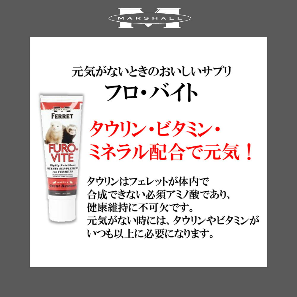 マーシャル　フロ・バイト　99g　フェレット　サプリメント　ビタミン強化　高カロリー　関東当日便 chanet3980-10005446 charm 3980 楽天市場店 サンプル画像3