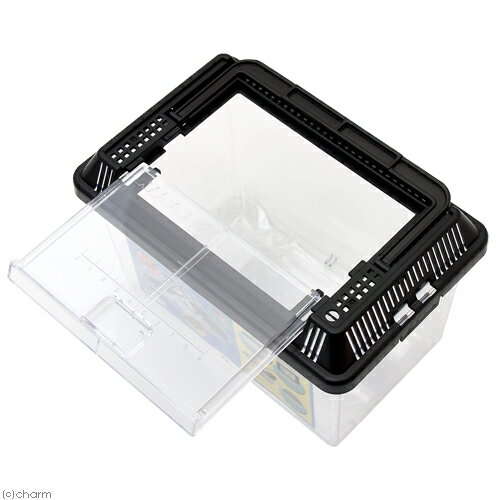 �˥å������ץ饱�������ߥˡ�����������