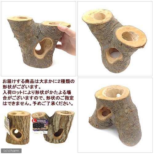 フジコン　プレミアム　インセクトシェルター　L　昆虫　カブトムシ　クワガタ　のぼり木　レイアウト用品　エサ皿　関東当日便