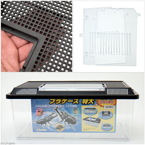 ニッソー プラケース 特大 関東当日便の紹介画像2
