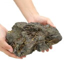 形状お任せ 風山石 Lサイズ(約20~25cm) 1個 アクアリウム テラリウム レイアウト素材 お一人様3点限り 関東当日便