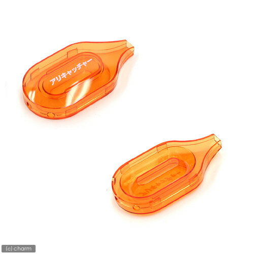 ����ưʪ���ʡ��˥��ɥ������ꥭ��å��㡼��������ʹ����������