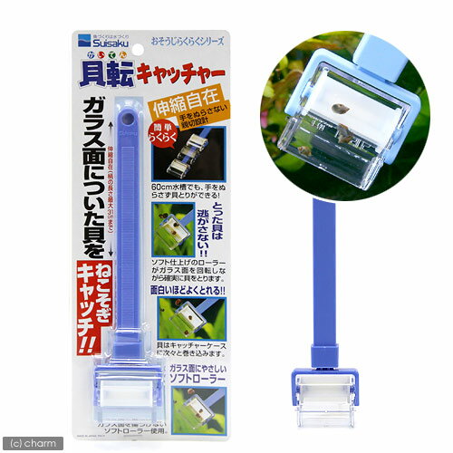 ����ž����å��㡼������������