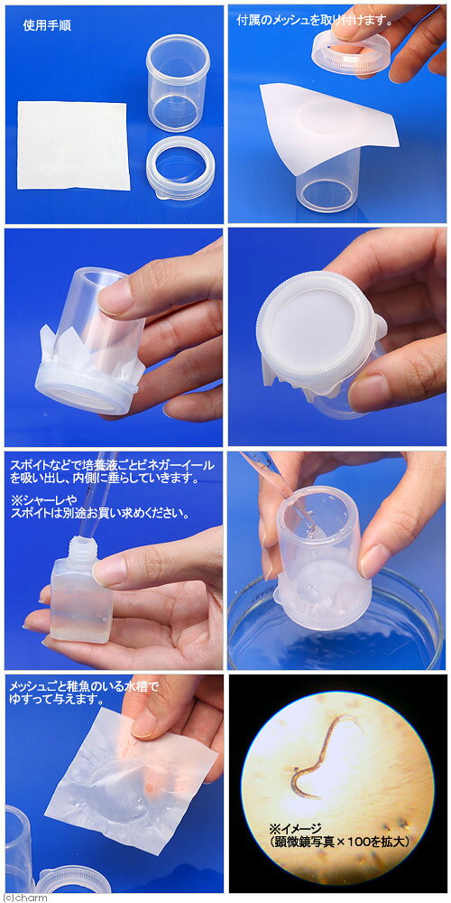 �����¡˻����ݾڤʤ����ӥͥ��������롡100ml��1�ġˡ����
