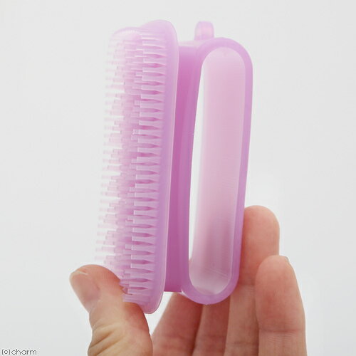 �ȥ��ǥ���󡡥��ꥳ��֥饷���ȥ��������ǭ�ѡ�û�ӡ�����������