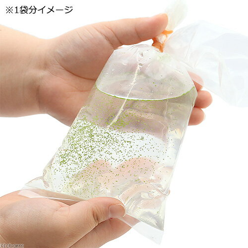 ������˥���������ŷ���ա��ɡ��ߥ��󥳥���������̵�����ˡ�3��ʬ��