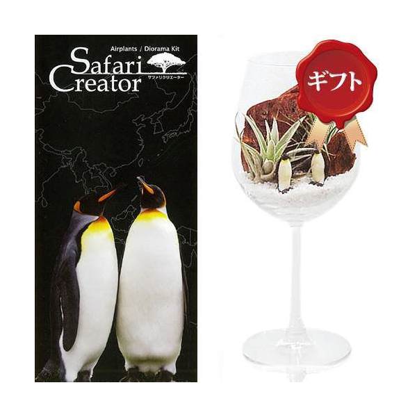 （観葉植物）ギフト　エアープランツ「サファリ　クリエーター」　～ペンギン～（1セット）