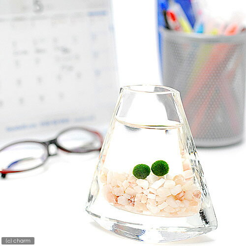 （水草）マリモ　Sサイズ（無農薬）（2個）