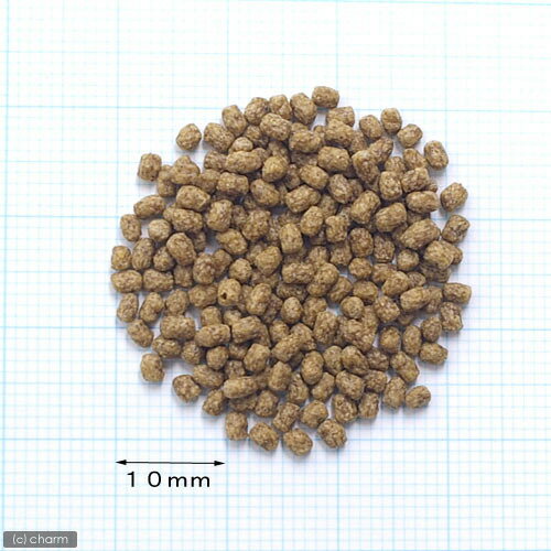 ���硼��󡡤Τ��Τ����ᤵ��40g���¡����������������γ�����������ѡ��������150���¤ꡡ����������