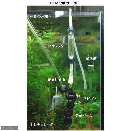 �Ѱ����塼�֡�����6mm�����ꥢ�֥롼��1m������������