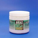 KENT フォスフェートスポンジ 544g 淡水・海水用 関東当日便