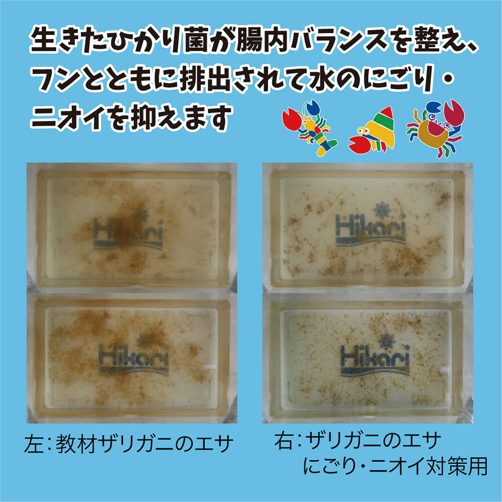 ���硼��󡡥��ꥬ�ˤΥ������ˤ��ꡦ�˥����к��ѡ�40g�����顡�¡��������50���¤ꡡ����������