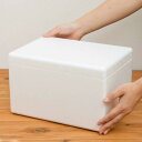 発泡スチロール箱(ミニ)TI−56V フタ付き(W30×D21×H18cm) お一人様1点限り 関東当日便
