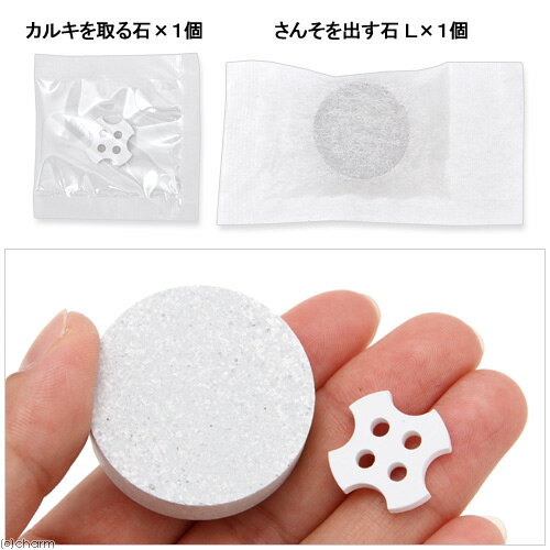 ����ưʪ���ʡ��˥��ɥ�������Τ���Τ��󤽤�Ф��С�L1�����ꡡ1������ס����륭�������դ�������������