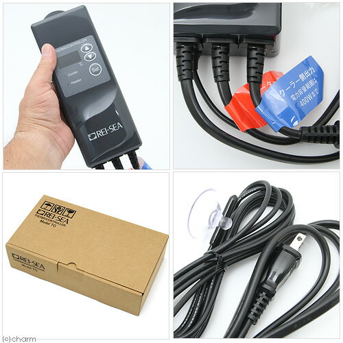 �쥤�����������⥳��ȥ����顼��TC��101�����塡����������