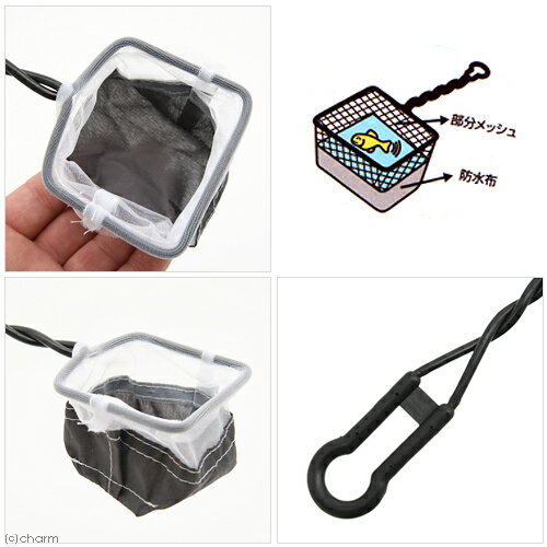 ���硼��󡡿头�ȥͥåȡ�SS���ͥåȡ����ƥʥ󥹡��������48���¤ꡡ����������