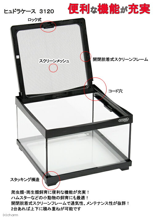 爬虫類ケージ　コトブキ工芸　ヒュドラケース　3120（310×304×200mm）　ガラスケー...