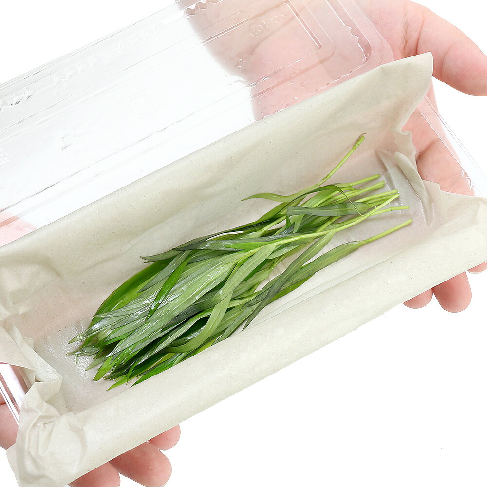 （水草）ヘテランテラ（水中葉）（無農薬）（10本）