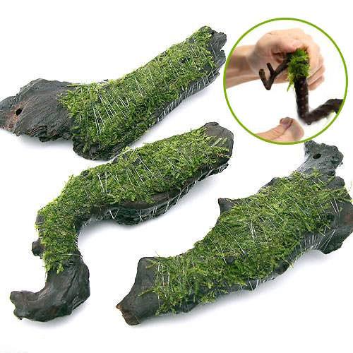 (水草)巻きたて ウィローモス 流木 Mサイズ(約20cm)(水中葉)(無農薬)(1本)