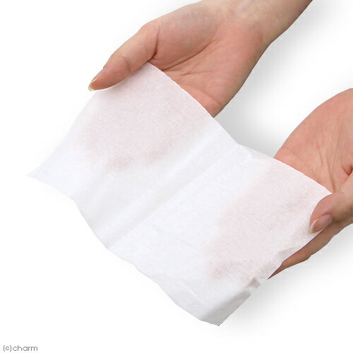 ����ͥå������ƥ����塼���ϡ��ա�100W��1��2���åȡ��ƥ��å��塡����������