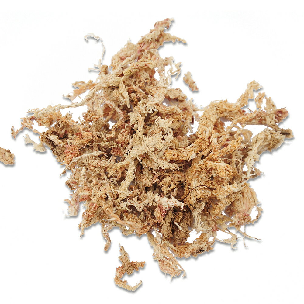 ���ݡ��ѥå�����̵����1L������������