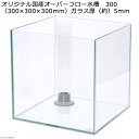 オーバーフロー水槽 クロミス30(30×30×30cm) 30cm水槽 キューブ お一人様1点限り 関東当日便
