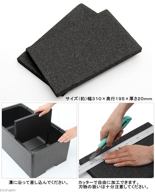 �������2���ӽ���3�롼���ѡ����ڤ���ñ�Ρ�2�硡��W31��5��D19��5��H2cm�ˡ�����������