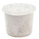 菌糸カップ XL−CUP ヒラタケ 430cc 1個