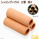 シュリンプハウス 土管 茶3 ビーシュリンプ用シェルター 関東当日便