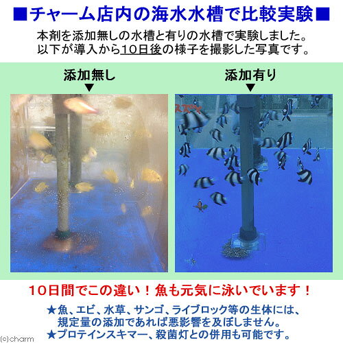 ゲルマニウムパワー　NEW茶ゴケしらず　淡水・海水両用　500ml（10000L分）　茶ゴ...