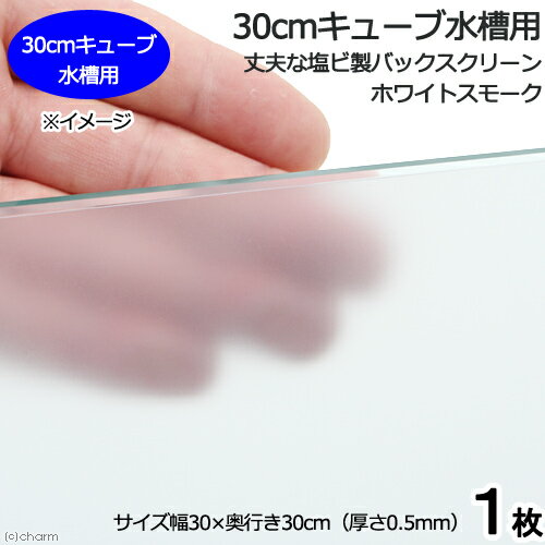 30cmキューブ水槽用　丈夫な塩ビ製バックスクリーン　30×30cm　ホワイトスモーク　...