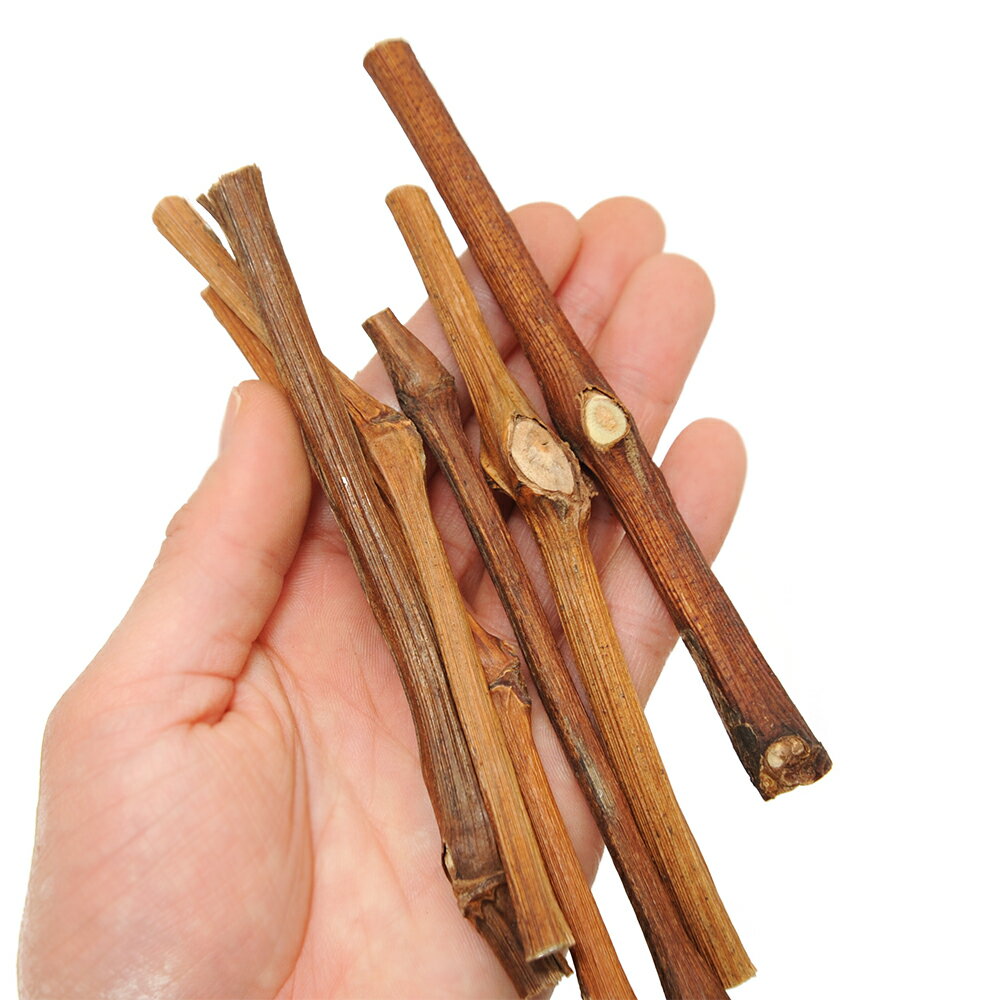 �������ڡ�Ĺ������֤ɤ����ڡ��ٻޡ�60g����ưʪ��������㡡̵ź�á�̵�忧���񻺡����������ϥॹ������������顡����������