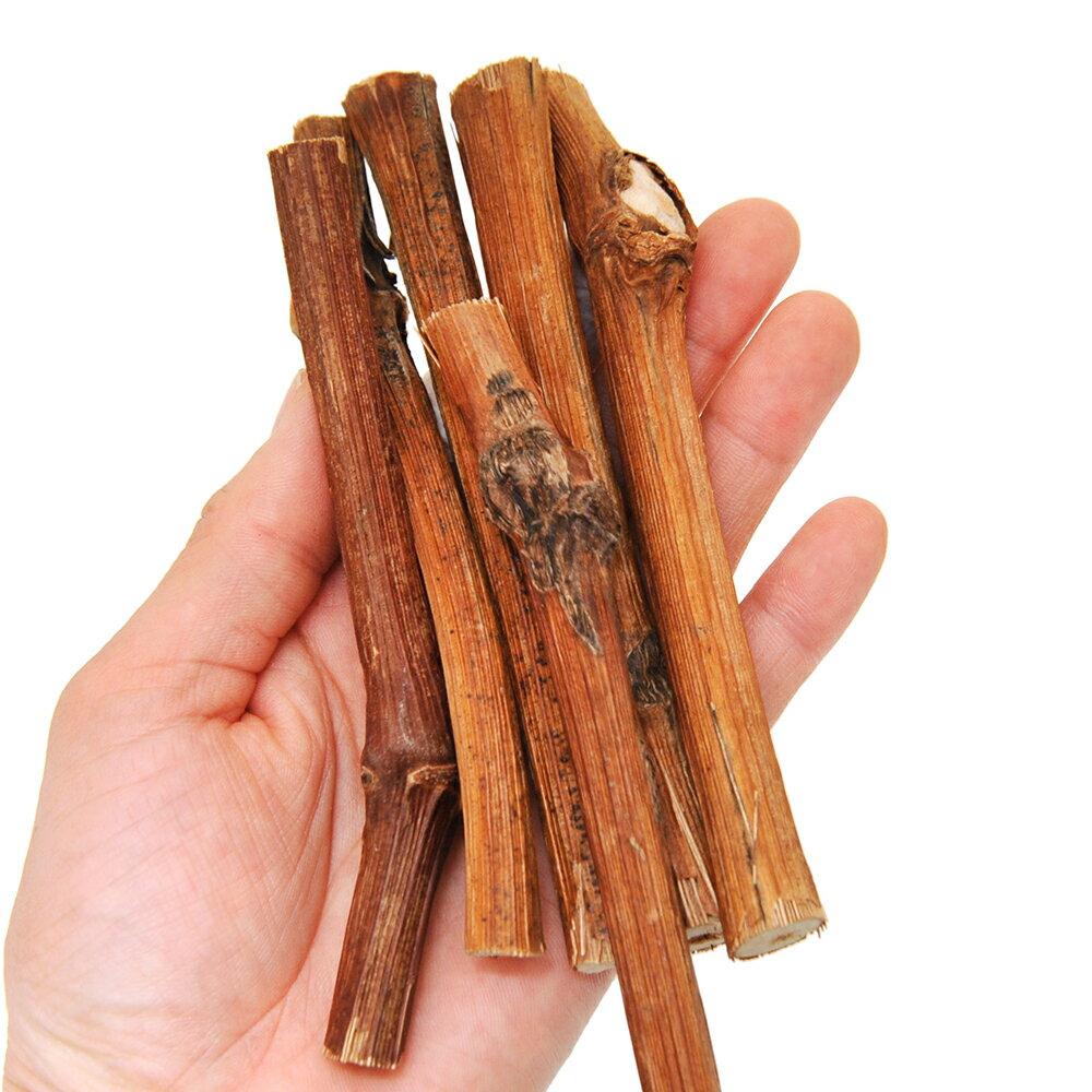 �������ڡ�Ĺ������֤ɤ����ڡ���ޡ�7��������ưʪ��������㡡̵ź�á�̵�忧���񻺡����������ϥॹ������������顡����������