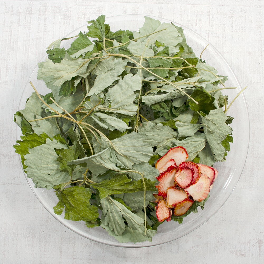国産 いちごの葉と果実 40g 小動物のおやつ うさぎ ハムスター 無添加 無着色 関東当日便