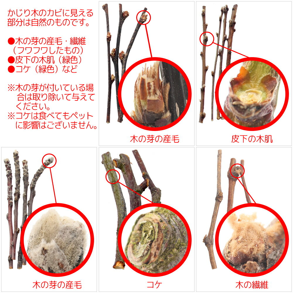 かじり木 国産 ももの木 細枝 60g 小動物...の紹介画像3