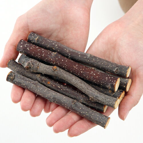 �������ڡ��񻺡���󤴤��ڡ���ޡ�500g�������ѥѥå�����ưʪ��������㡡���������ϥॹ������������顡������㡡��ưʪ��ŷ�������ȥ쥹��á�����������