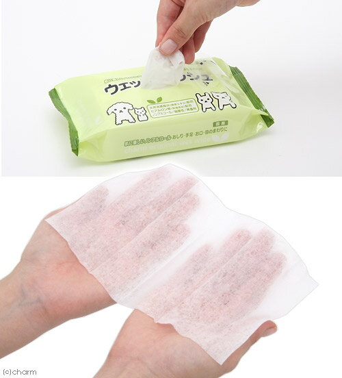 ȩ��ͥ�����ҥ��������۹硡�Υ󥢥륳���롡���㡼�४�ꥸ�ʥ롡�����åȥƥ��å��塡�����å�80�硡�������19���¤ꡡ����������